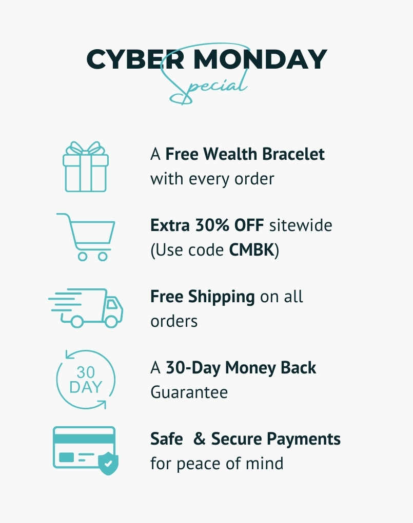 Cyber Monday Special